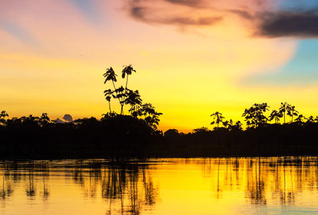 Silhouette of coconut tree on the lake at sunset, Thailand.の写真素材