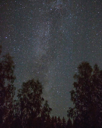 Milky way in the night sky with stars and silhouette of treesの写真素材