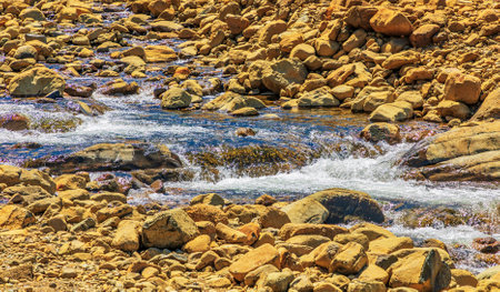 Beautiful landscape with a mountain river flowing through the rocky shore.