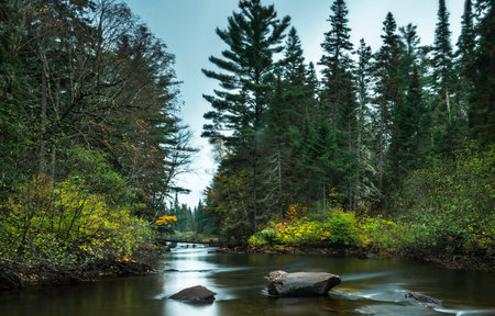 River in the forest. Beautiful autumn landscape with mountain river and green forestの写真素材