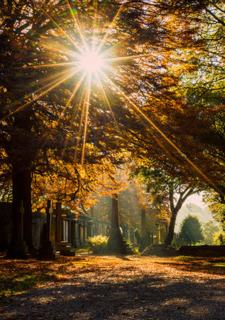 Autumnal alley in the park with sun rays and yellow leavesの写真素材