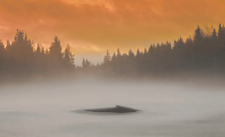 Foggy morning at the lake in the mountains of the Ukrainian Carpathiansの写真素材