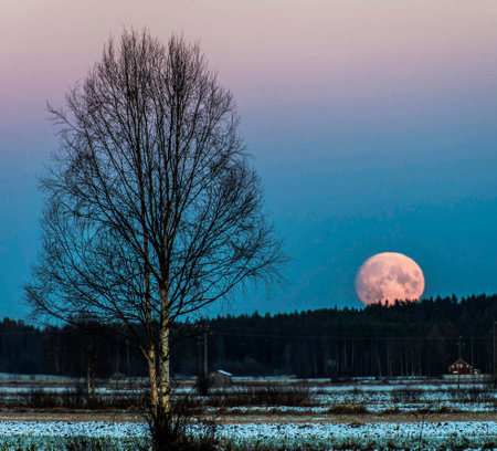 Beautiful winter landscape with big full moon over meadow and treesの写真素材