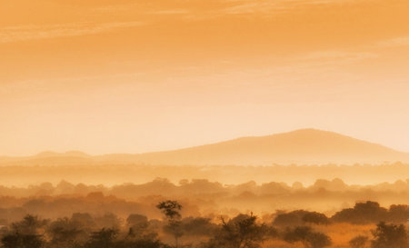 Foggy sunrise over the Okavango Delta, Botswanaの写真素材