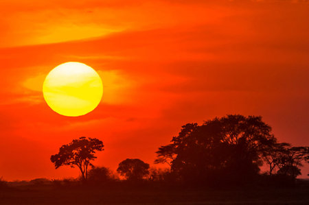 Sunset in Okavango Delta - Moremi National Park in Botswana