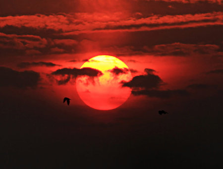 Sunset in the red sky with birds flying in the clouds.の写真素材