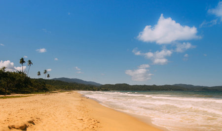 Tropical beach in Sri Lanka with palm trees and blue skyの写真素材