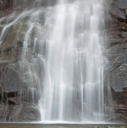 Waterfall in the forest. Beautiful waterfall in the forest. Waterfall in the forest.
