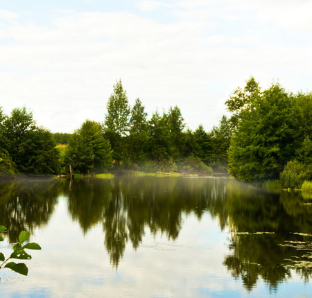 Reflection of trees on the lake in the morning. Nature backgroundの写真素材