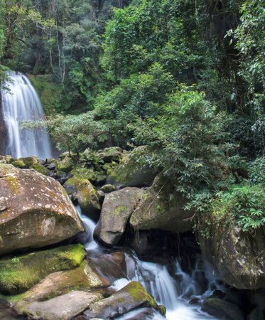 Waterfall in deep forest at Doi Inthanon National Park, Chiang Mai, Thailand