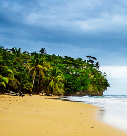 tropical beach with palm trees and sand under cloudy sky in Costa Ricaの写真素材