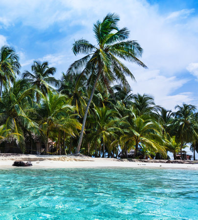 Beautiful tropical beach and sea with coconut palm tree at paradise islandの写真素材
