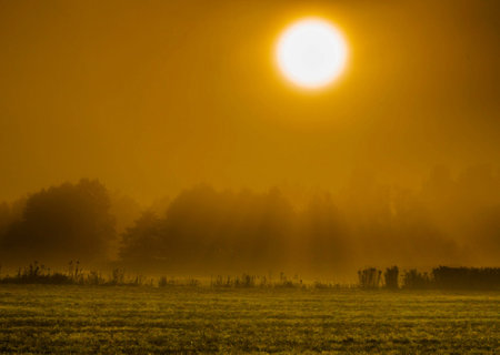 Sunset over the meadow with fog and trees in the backgroundの写真素材