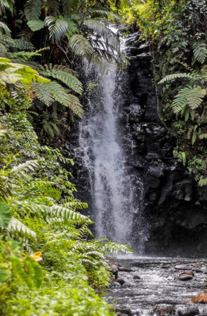 Tropical waterfall in the rainforest of Bali island, Indonesiaの写真素材