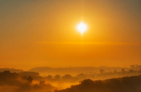 Beautiful sunrise over the misty forest in the early morning.