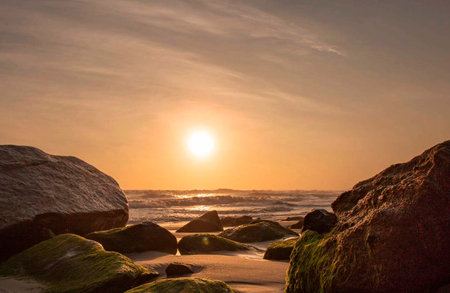 Sunset on the beach with rocks and green moss in the foreground