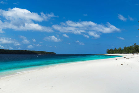 Beautiful white sand beach with turquoise water and blue skyの写真素材