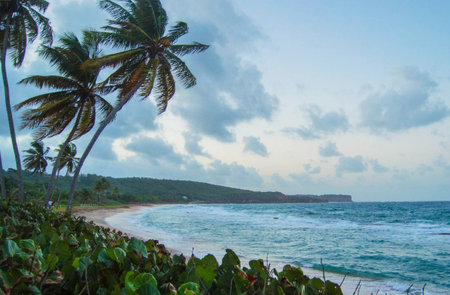 Tropical beach with palm trees at sunset, Sri Lanka.