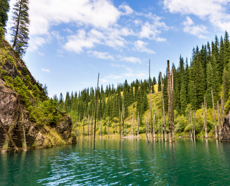 Scenic view of the turquoise emerald water of the Katun river, Altai Republic, Russiaの写真素材