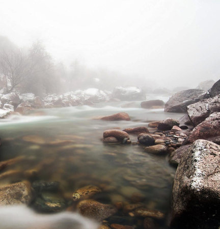 Stream in the forest in a foggy day. Mountain landscape.の写真素材