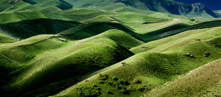 Green hills in the mountains of Kyrgyzstan. Panoramaの写真素材