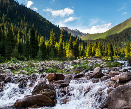 Mountain river in the mountains. Altai, Siberia, Russiaの写真素材