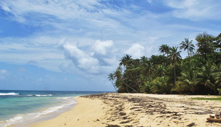 beautiful beach on the seashore of the indian oceanの写真素材