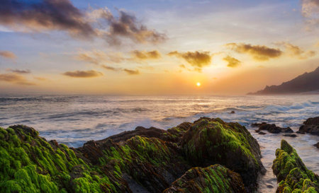 Beautiful sunset over the ocean with green moss on the rocks.の写真素材