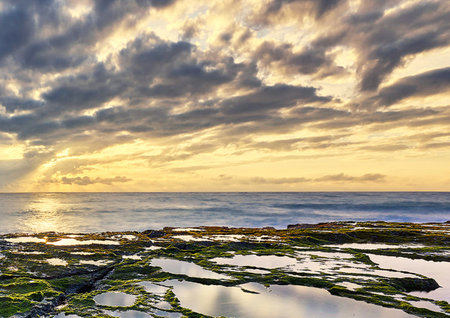 Sunset over the sea with green algae on the rocks and cloudy skyの写真素材