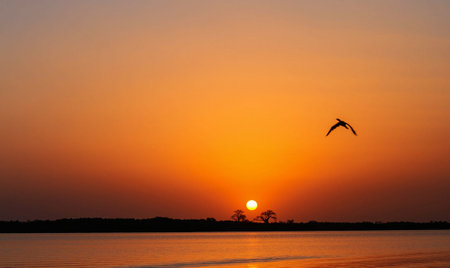 Sunset over the Nile river in Luxor, Egypt, Africa