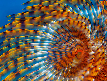 Abstract background. Orange - blue palette. Raster fractal graphics.