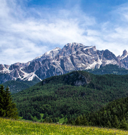 Mountain landscape in the Dolomites (Italy) with flowersの写真素材