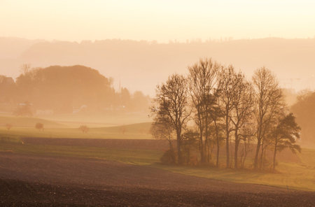 Sunrise over a field in the countryside with trees in the foregroundの写真素材