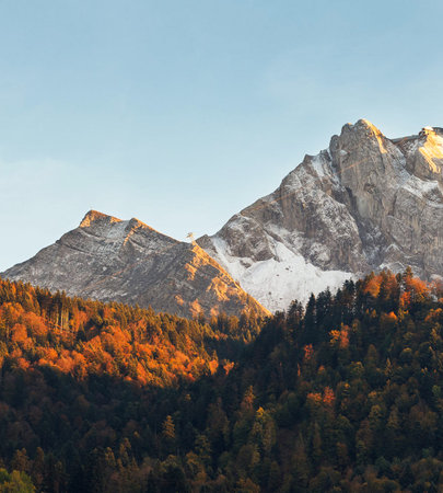 Mountain autumn landscape with colorful forest and snow-capped peaksの写真素材