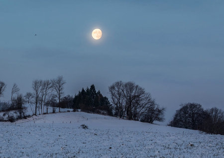 winter landscape with a full moon in the sky and trees in the foregroundの写真素材