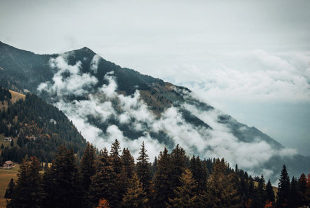 Mountain landscape with fog and clouds. Carpathian, Ukraine, Europe.の写真素材