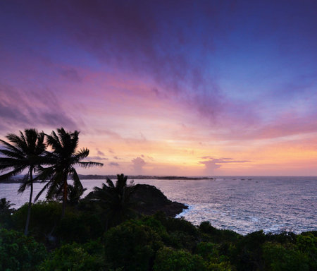 Beautiful sunset over the ocean with palm trees on the foreground.の写真素材