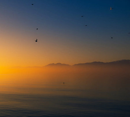 Sunset over Lake Garda in Italy with seagulls