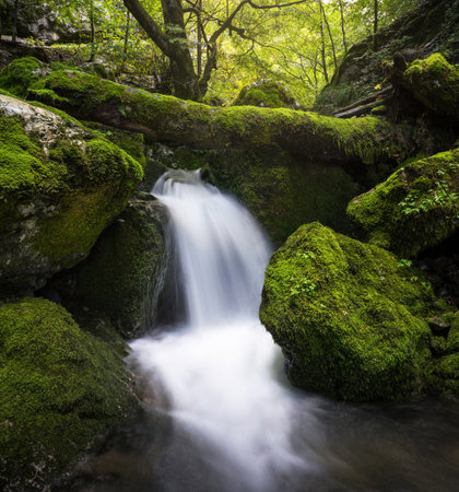 Mossy rocks and small waterfall in the forest. Selective focus.の写真素材