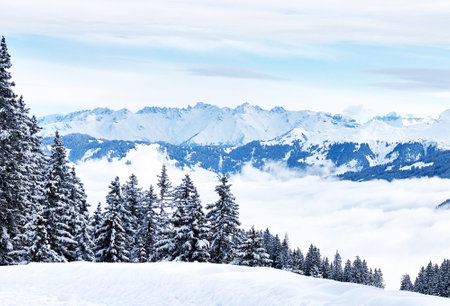 Winter in the swiss alps (Braunwald, Switzerland)