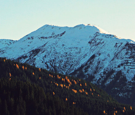 Mountain range with snow and coniferous forest at sunset.の写真素材
