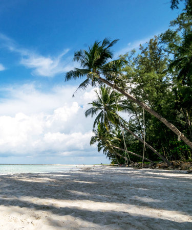 Beautiful tropical beach with coconut palm trees on Koh Lipe, Thailand