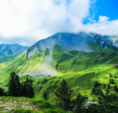 Mountain landscape with green grass and blue sky. Dolomites, Italyの写真素材