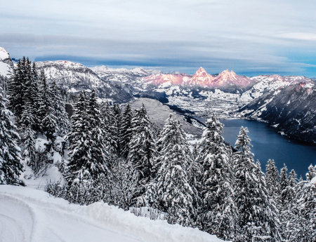 Beautiful winter landscape with snow covered fir trees and mountains in the backgroundの写真素材