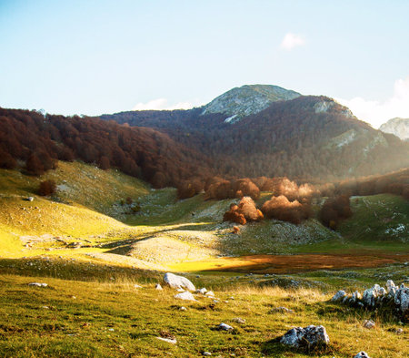 autumn landscape in the italian alps, beautiful photo digital picture