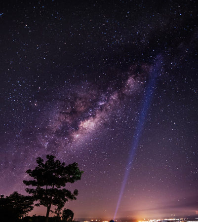 Milky Way and Tree Silhouette at Phuket, Thailand.