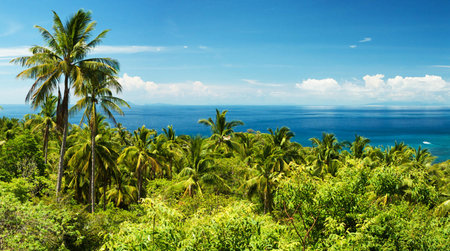 Panoramic view of the sea and palm trees on the island of Seychelles