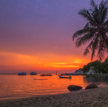 Beautiful sunset on the beach with palm trees. Koh Samui, Thailandの写真素材