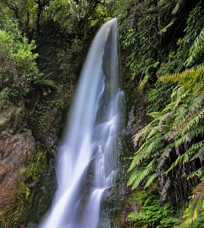 Waterfall in the rainforest of Sao Miguel island, Azores
