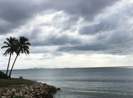 Tropical beach with coconut trees and cloudy sky in the backgroundの写真素材